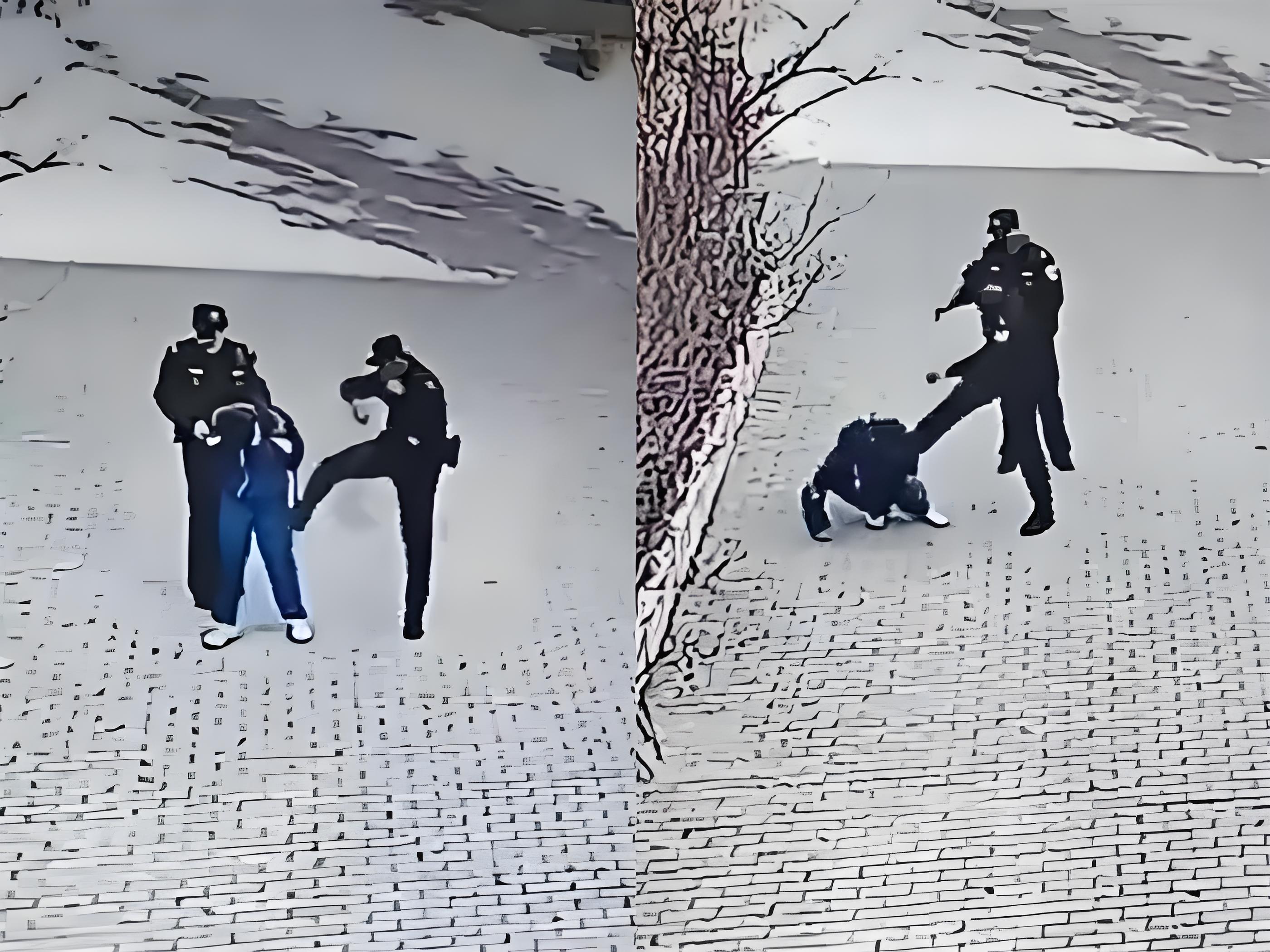 关于赛场上发生打斗事件，警方立即介入调查的信息