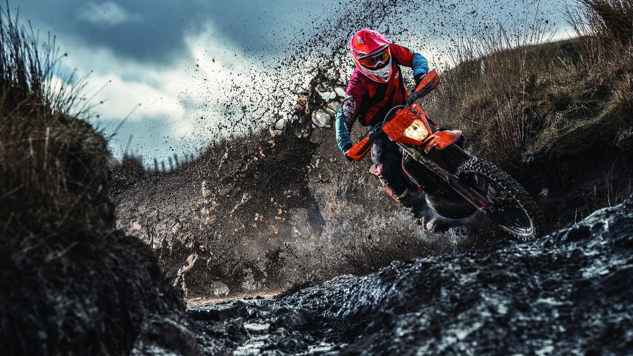 温网险胜美网，阿尔卡拉斯高光表现背后的网球新纪元